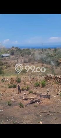 Tanah Dijual di Buleleng Seluas 2500m2 Strategis Tanah Dijual di Buleleng Seluas 2500m2 Strategis