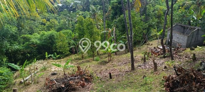 Rumah Minimalis 2 KT di Kayuputih Buleleng Unfurnished Rumah Minimalis 2 KT di Kayuputih Buleleng Unfurnished
