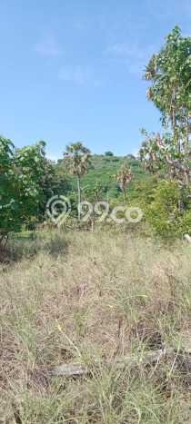 Kavling Tanah di Gerokgak Dijual Luas 25000m2 Legalitas SHM Kavling Tanah di Gerokgak Dijual Luas 25000m2 Legalitas SHM