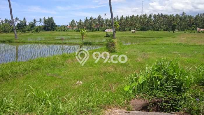 Untuk Dijual Tanah di Buleleng, Luas 3800m2 SHM Untuk Dijual Tanah di Buleleng, Luas 3800m2 SHM