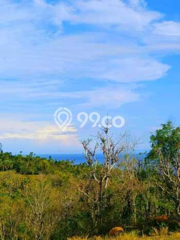 Lahan Dijual Lokasi Strategis di Buleleng dengan Luas 940m2 Lahan Dijual Lokasi Strategis di Buleleng dengan Luas 940m2