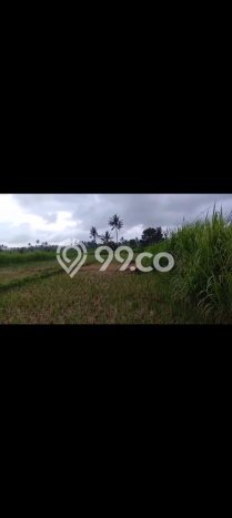 Lahan Investasi Lokasi Karangasem Karangasem SHM Lahan Investasi Lokasi Karangasem Karangasem SHM