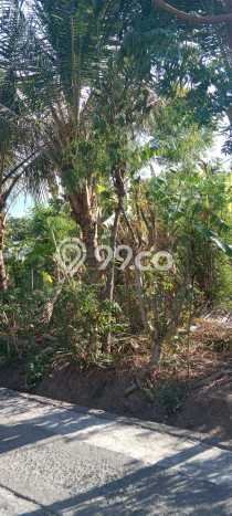 Kavling Tanah di Gerokgak Dijual Luas 1000m2 Legalitas SHM Kavling Tanah di Gerokgak Dijual Luas 1000m2 Legalitas SHM