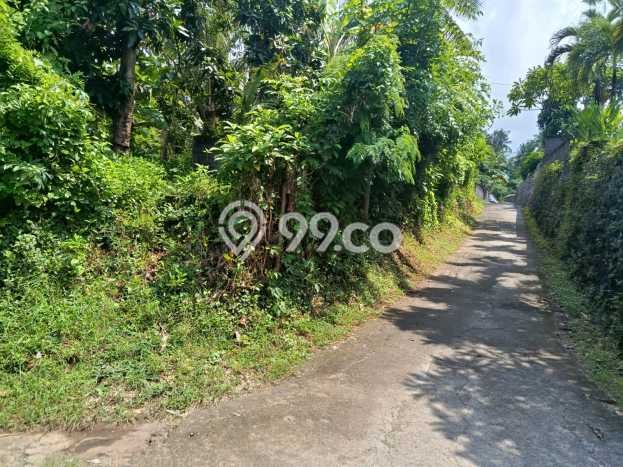Lahan untuk Dijual di Gerokgak Buleleng Luas 5000m2 Lahan untuk Dijual di Gerokgak Buleleng Luas 5000m2