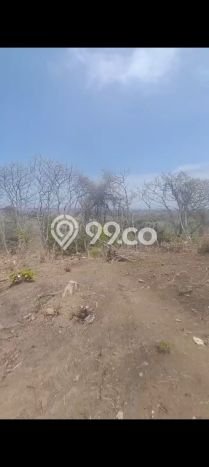 Tanah Dijual di Buleleng Seluas 2500m2 Strategis Tanah Dijual di Buleleng Seluas 2500m2 Strategis