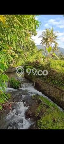 Tanah Dijual di Buleleng Seluas 2000m2 Strategis Tanah Dijual di Buleleng Seluas 2000m2 Strategis