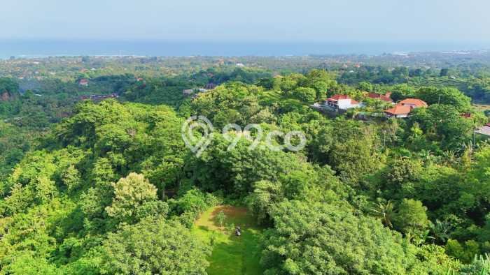 Tanah Investasi Dijual di Buleleng Punya Luas 4330m2 Tanah Investasi Dijual di Buleleng Punya Luas 4330m2