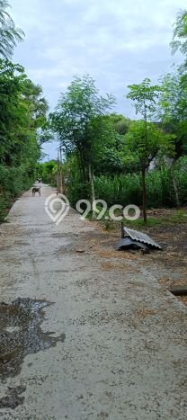 Lahan untuk Dijual di Gerokgak Buleleng Luas 900m2 Lahan untuk Dijual di Gerokgak Buleleng Luas 900m2