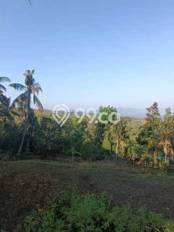 Lahan Dijual Lokasi Strategis di Buleleng dengan Luas 940m2 Lahan Dijual Lokasi Strategis di Buleleng dengan Luas 940m2
