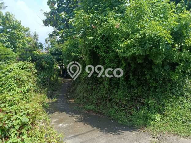 Lahan untuk Dijual di Gerokgak Buleleng Luas 5000m2 Lahan untuk Dijual di Gerokgak Buleleng Luas 5000m2