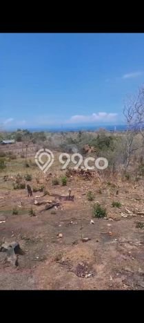 Tanah Dijual di Buleleng Seluas 2500m2 Strategis Tanah Dijual di Buleleng Seluas 2500m2 Strategis