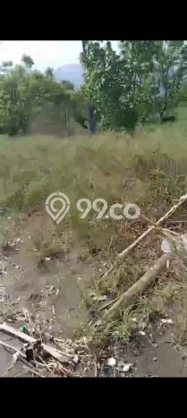 Kavling Tanah di Gerokgak Dijual Luas 25000m2 Legalitas SHM Kavling Tanah di Gerokgak Dijual Luas 25000m2 Legalitas SHM