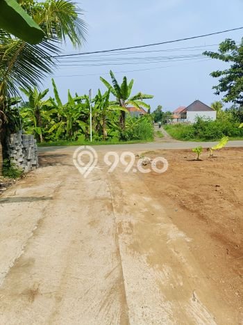 Dijual Tanah Lokasi Lovina, Buleleng Seluas 482m2 Dijual Tanah Lokasi Lovina, Buleleng Seluas 482m2