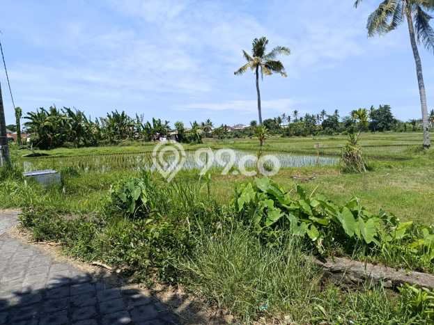 Untuk Dijual Tanah di Buleleng, Luas 3800m2 SHM Untuk Dijual Tanah di Buleleng, Luas 3800m2 SHM