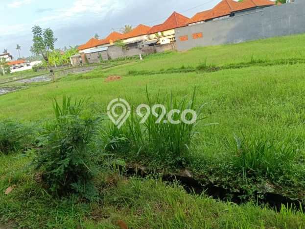 Untuk Dijual Tanah 1900m2 di Anturan, Buleleng Untuk Dijual Tanah 1900m2 di Anturan, Buleleng