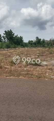 Tanah Kavling untuk Dijual di Gerokgak Buleleng 1000m2 Tanah Kavling untuk Dijual di Gerokgak Buleleng 1000m2