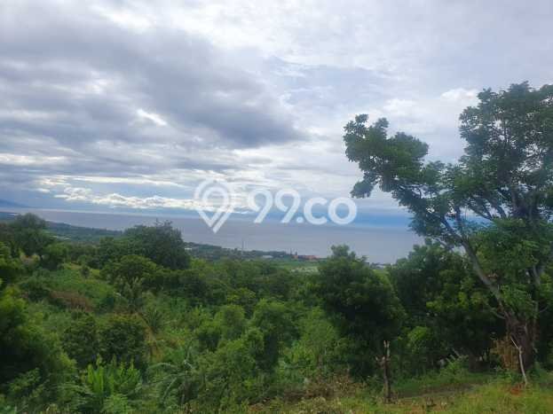 Untuk Dijual Tanah di Buleleng, Luas 1210m2 SHM Untuk Dijual Tanah di Buleleng, Luas 1210m2 SHM
