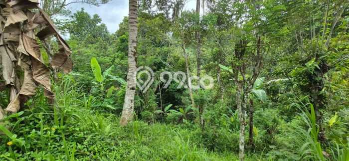 Lahan Dijual Lokasi Payangan, Gianyar dengan Luas Tanah 64000m2 dan Status SHM Lahan Dijual Lokasi Payangan, Gianyar dengan Luas Tanah 64000m2 dan Status SHM