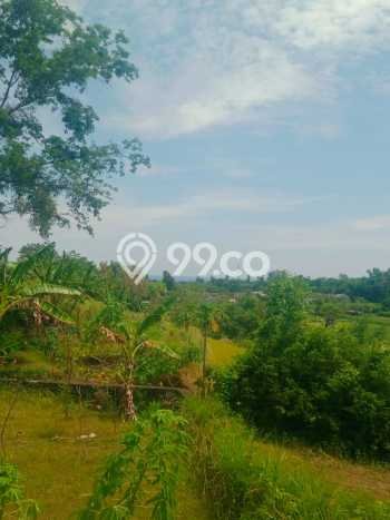Lahan Dijual Lokasi Strategis di Buleleng dengan Luas 1200m2 Lahan Dijual Lokasi Strategis di Buleleng dengan Luas 1200m2