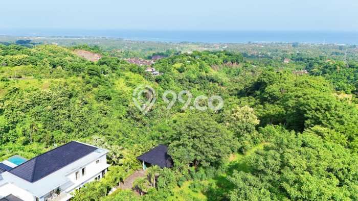 Tanah Investasi Dijual di Buleleng Punya Luas 4330m2 Tanah Investasi Dijual di Buleleng Punya Luas 4330m2