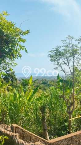 Tanah Dijual Lokasi Strategis di Buleleng dengan Luas 1000m2 Tanah Dijual Lokasi Strategis di Buleleng dengan Luas 1000m2