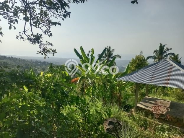 Dijual Tanah 4300m2 di Panji, Buleleng Dijual Tanah 4300m2 di Panji, Buleleng