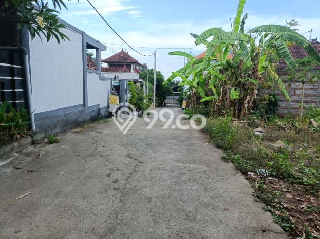 Tanah Kavling Dijual di Lovina, Buleleng dengan Luas Tanah 500m2 Tanah Kavling Dijual di Lovina, Buleleng dengan Luas Tanah 500m2