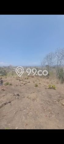 Tanah Dijual di Buleleng Seluas 2500m2 Strategis Tanah Dijual di Buleleng Seluas 2500m2 Strategis