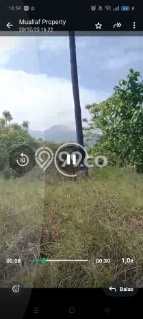 Kavling Tanah di Gerokgak Dijual Luas 25000m2 Legalitas SHM Kavling Tanah di Gerokgak Dijual Luas 25000m2 Legalitas SHM