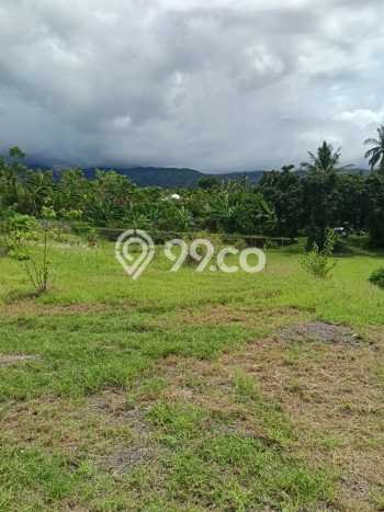 Kavling Tanah Dijual di Buleleng, Buleleng, Luas 1000m2 Area Strategis Kavling Tanah Dijual di Buleleng, Buleleng, Luas 1000m2 Area Strategis