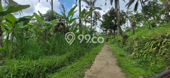 Lahan Dijual Lokasi Payangan, Gianyar dengan Luas Tanah 64000m2 dan Status SHM Lahan Dijual Lokasi Payangan, Gianyar dengan Luas Tanah 64000m2 dan Status SHM