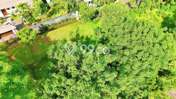 Tanah Investasi Dijual di Buleleng Punya Luas 4330m2 Tanah Investasi Dijual di Buleleng Punya Luas 4330m2