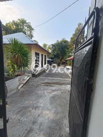 Rumah Luas Asri 2 KT Siap Huni di Lovina Buleleng Rumah Luas Asri 2 KT Siap Huni di Lovina Buleleng