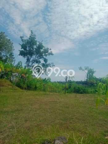 Lahan Dijual Lokasi Strategis di Buleleng dengan Luas 1200m2 Lahan Dijual Lokasi Strategis di Buleleng dengan Luas 1200m2