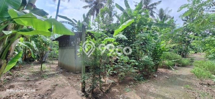 Tanah Kavling Dijual di Canggu, Badung dengan Luas Tanah 500m2 Tanah Kavling Dijual di Canggu, Badung dengan Luas Tanah 500m2