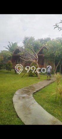 HARGA TERBAIK! Vila di Gerokgak, Area 1250m2m², Lokasi Prima HARGA TERBAIK! Vila di Gerokgak, Area 1250m2m², Lokasi Prima
