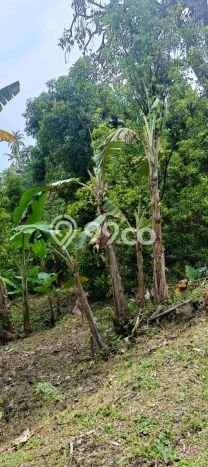 Rumah Minimalis 2 KT di Kayuputih Buleleng Unfurnished Rumah Minimalis 2 KT di Kayuputih Buleleng Unfurnished