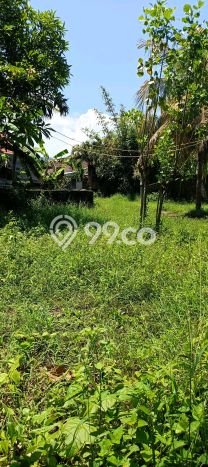 Untuk Dijual Tanah di Buleleng, Luas 1000m2 SHM Untuk Dijual Tanah di Buleleng, Luas 1000m2 SHM
