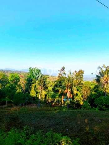Lahan Dijual Lokasi Strategis di Buleleng dengan Luas 940m2 Lahan Dijual Lokasi Strategis di Buleleng dengan Luas 940m2