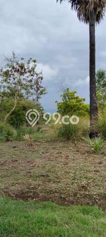 Kavling Tanah di Gerokgak Dijual Luas 1000m2 Legalitas SHM Kavling Tanah di Gerokgak Dijual Luas 1000m2 Legalitas SHM