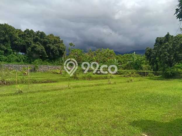 Kavling Tanah Dijual di Buleleng, Buleleng, Luas 1000m2 Area Strategis Kavling Tanah Dijual di Buleleng, Buleleng, Luas 1000m2 Area Strategis