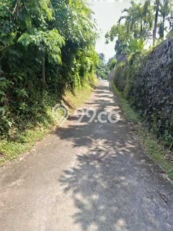 Lahan untuk Dijual di Gerokgak Buleleng Luas 5000m2 Lahan untuk Dijual di Gerokgak Buleleng Luas 5000m2