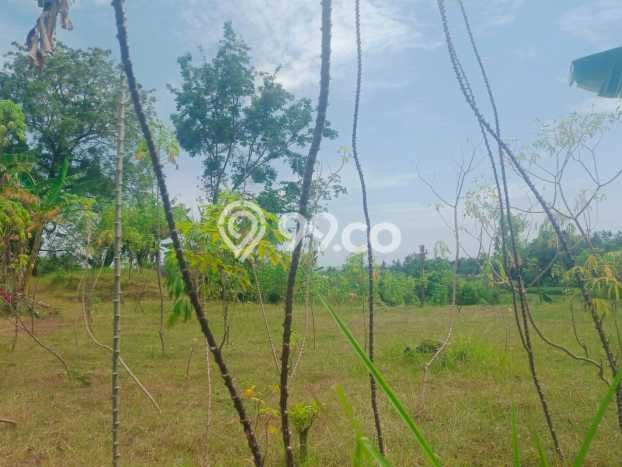 Lahan Dijual Lokasi Strategis di Buleleng dengan Luas 1200m2 Lahan Dijual Lokasi Strategis di Buleleng dengan Luas 1200m2