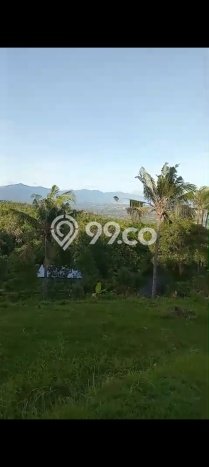Lahan Dijual Lokasi Strategis di Buleleng dengan Luas 940m2 Lahan Dijual Lokasi Strategis di Buleleng dengan Luas 940m2