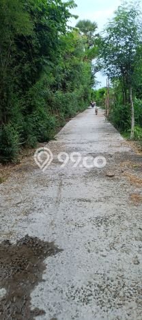 Lahan untuk Dijual di Gerokgak Buleleng Luas 900m2 Lahan untuk Dijual di Gerokgak Buleleng Luas 900m2