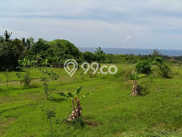 Kavling Tanah Dijual di Buleleng, Buleleng, Luas 1000m2 Area Strategis Kavling Tanah Dijual di Buleleng, Buleleng, Luas 1000m2 Area Strategis