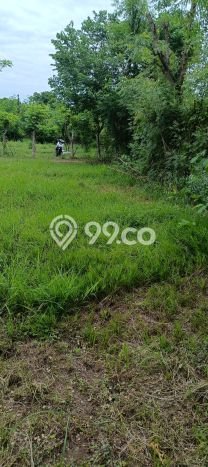 Lahan untuk Dijual di Gerokgak Buleleng Luas 900m2 Lahan untuk Dijual di Gerokgak Buleleng Luas 900m2