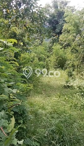 Tanah Kavling untuk Dijual di Gerokgak Buleleng 1000m2 Tanah Kavling untuk Dijual di Gerokgak Buleleng 1000m2