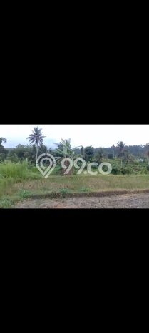 Lahan Investasi Lokasi Karangasem Karangasem SHM Lahan Investasi Lokasi Karangasem Karangasem SHM