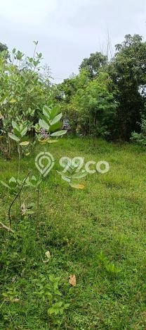 Lahan untuk Dijual di Gerokgak Buleleng Luas 900m2 Lahan untuk Dijual di Gerokgak Buleleng Luas 900m2